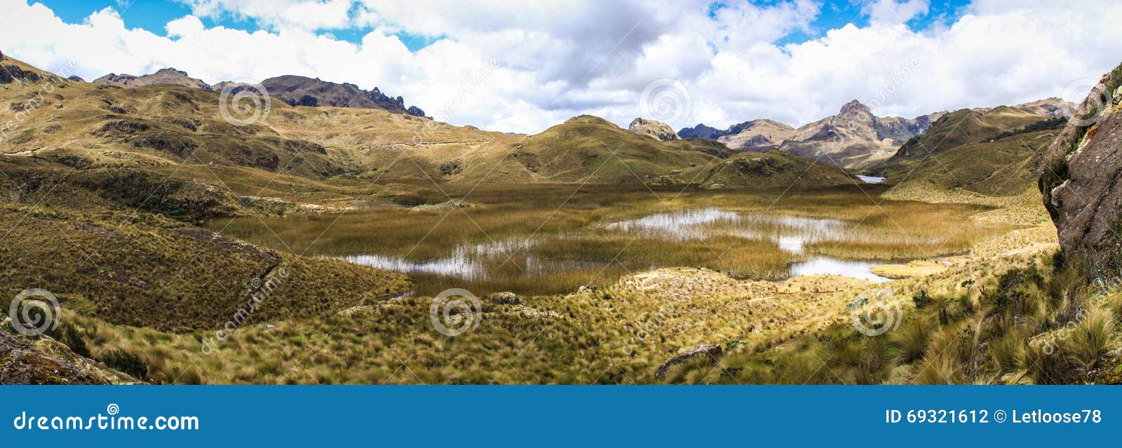 cajas national park panorama, west of cuenca, ecuador